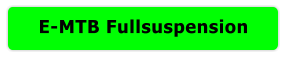E-MTB Fullsuspension